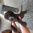 Profile picture for user RealWuf