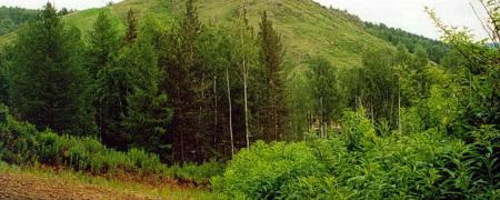 Таинственное место, что привлекает разного толка странных личностей.